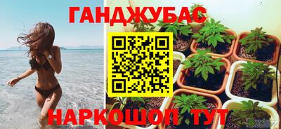 PSILOCYBIN Гусиноозёрск